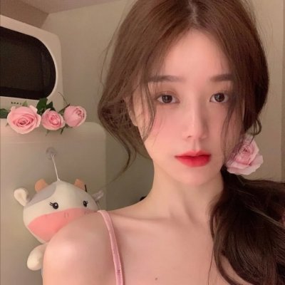 刘少奇的四十四天