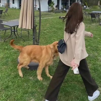 滚女十八招